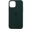 Чехол Silicone Case для Apple iPhone 12, iPhone 12 Pro (Cyprus Green)