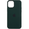 Чехол Silicone Case для Apple iPhone 12 mini (Cyprus Green)